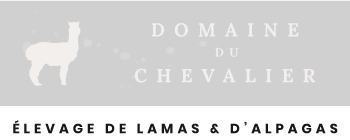 Domaine du Chevalier